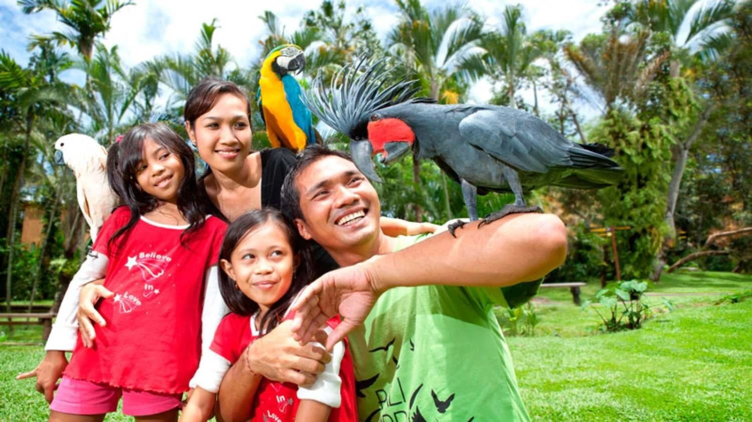 bali bird park, rekomendasi tempat liburan keluarga dan anak